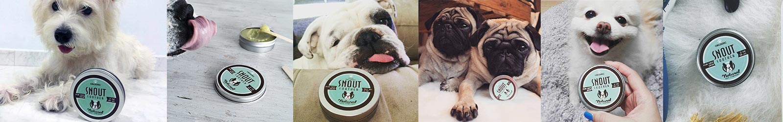 Snout Soother pomáhá při léčbě a prevenci suchého psího čumáku